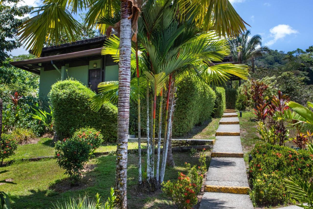 Tiki Villas Rainforest Lodge - Adults Only أوفيتا المظهر الخارجي الصورة